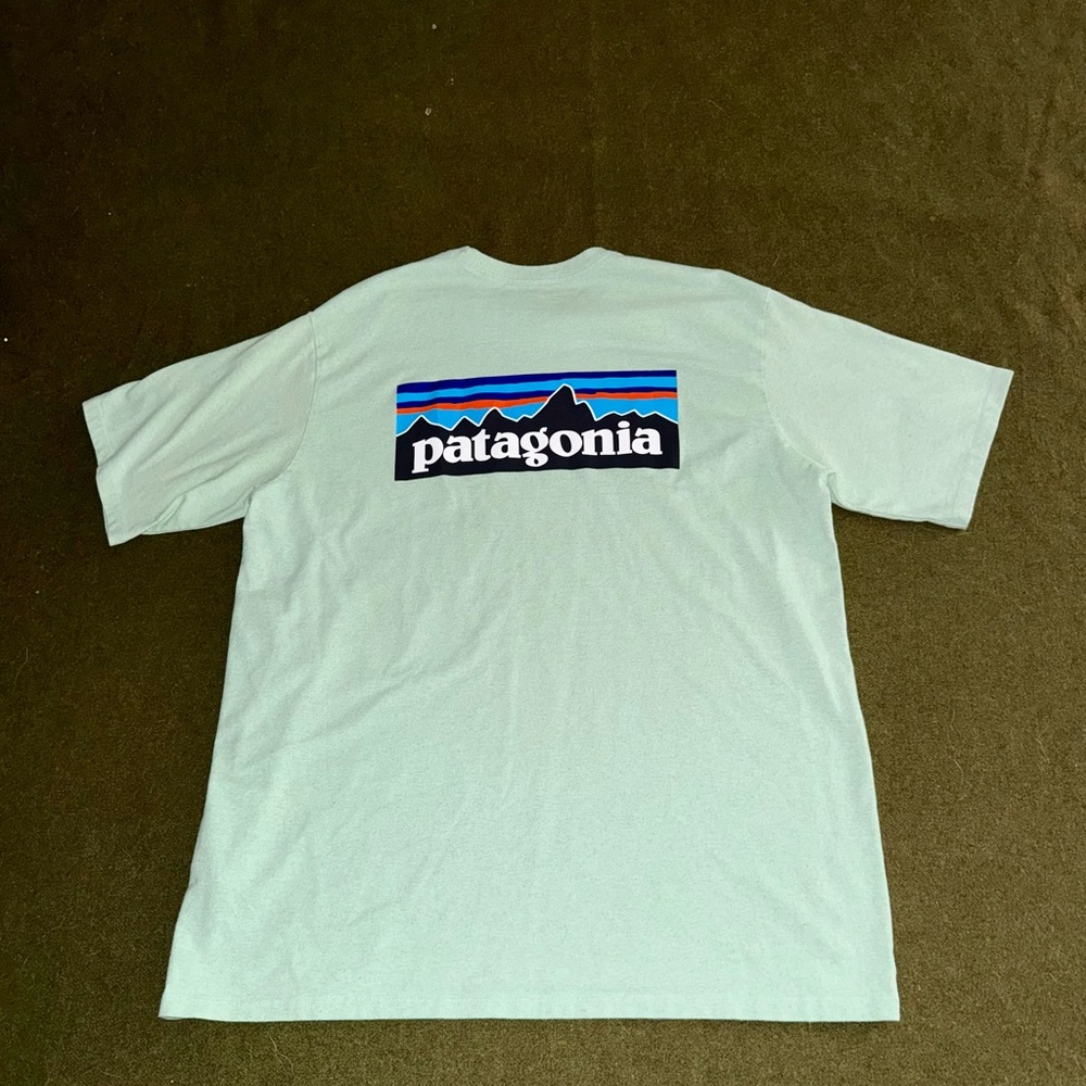 Patagonia Responsibili Tee Mens L Green Logo Graphic T-Shirt Top Spellout Hike